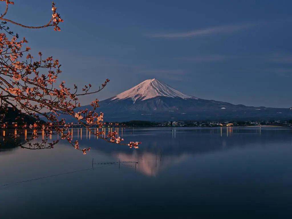 sakuramtfuji.webp